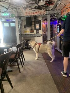 Read more about the article Whatever happened to the British boozer?