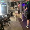 Whatever happened to the British boozer?