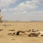 Terrifying climate crisis report predicts 4 Billion Dead by 2050