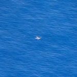 14 bodies found in Med as Europe rejects refugees